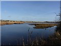 Lodmoor Nature Reserve, Weymouth