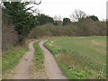Footpath on field boundary leading to Great Totham Hall