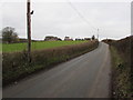 Hedge-lined road to Blaisdon