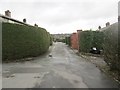 Beech Avenue - Plane Tree Road