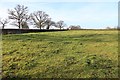 Old road visible in a field