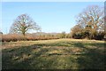 Meadow near Berrends