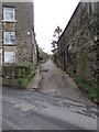 Footpath - Winterburn Lane