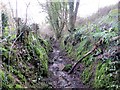 Llwybr Widegate Path