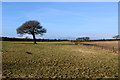 Countryside beside the A61 north of Alwoodley Gates