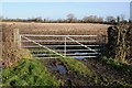 Field gate at Nupdown