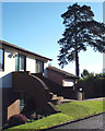 Steps to the front door of a house in Cedar Close, Dawlish