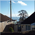 A glimpse of the sea past Orchard Cottage, 21 Alta Vista Close, Dawlish