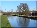 The New River by Rye House Marsh (2)