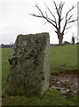 ST5963 : Stone sentinel by Neil Owen