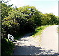 Path junction at the SE corner of Pen-y-fan Pond