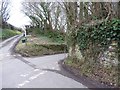 Market (Cathead) Cross, Chiselborough