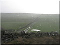 NT4939 : Farm track on Ladhope Moor by M J Richardson