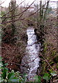 White water over a weir, Pontypool