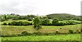 Farm land on the north side of Hall Road