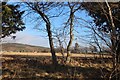 Farmland at Ardross