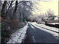 Snow, Retreat Avenue, Omagh