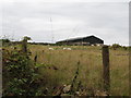 Farm shed above Milltown Road