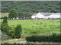 The chapel graveyard and the Old School Theatre at Lislea