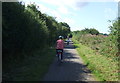 Brampton Valley Way (National Cycle Route 6) 