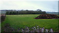 Pastoral and woodland of the Usk valley