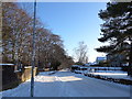 Looking down Lethame Road, Strathaven