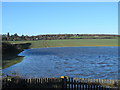 Allotment gardens west of Rye Common Pumping Station, Hoddesdon Road, EN11 (2)