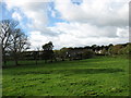 Farmland at Tallentire