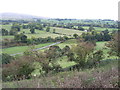 Looking across the Caldew valley