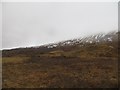 NN5431 : Damp land, Glen Dochart by Richard Webb