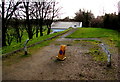 Yellow police cone a long way from home, Pontypool