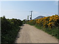 Track leading from the shore to the A2 at Quarter Road, Annalong