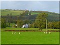 NY3640 : Pasture, Castle Sowerby by Andrew Smith