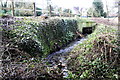 Stream entering culvert under A415