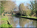 The New River just south of High Street, Stanstead St. Margaret