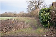 SU5850 : Permissive path - St John's Field by Mr Ignavy