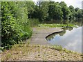 Pond, Telford Town Park