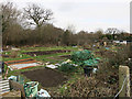 Raeburn Avenue Allotments