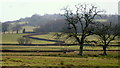 Slopes of Yr Allt