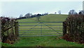 Gateway onto pasture land