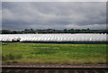 Polytunnels near Handsacre