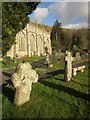 Crosses, St Neot