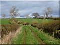 NY4440 : Byroad, Hesket by Andrew Smith