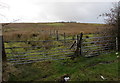 Two field gates on the south side of Hirwaun Road, Penywaun