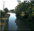 North along the Ashby canal, Market Bosworth