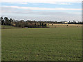 Over fields towards Harefield Park