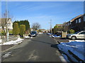 Norton Drive - looking towards Roils Head Road