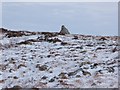 NY7061 : Currick on Ramshaw Fell by Oliver Dixon