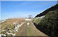 Bridleway - Roils Head Road