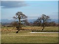 Pastureland at High Cote Farm